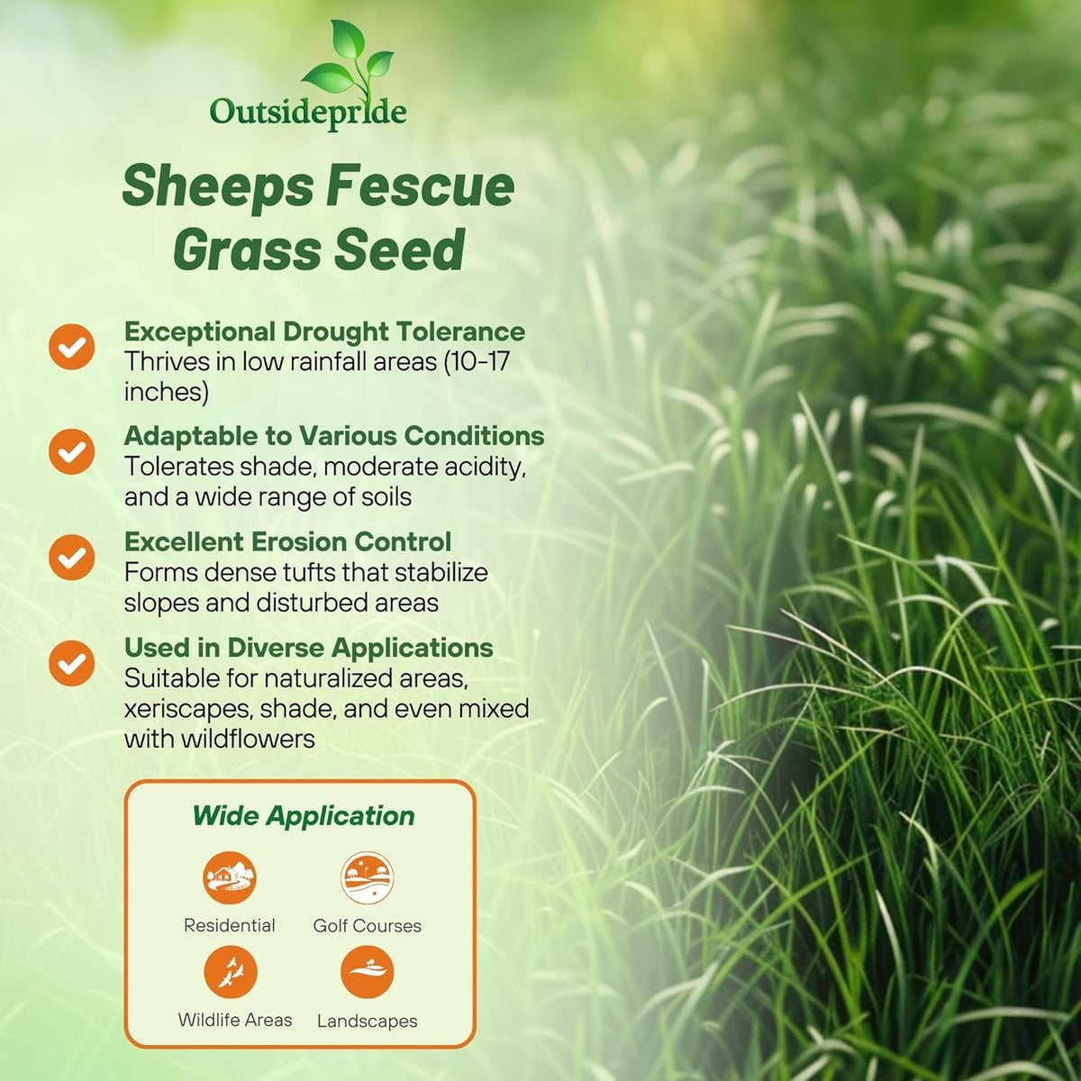 Outsidepride Sheeps Fine Fescue Grass Seed - 5 Lbs. Perennial Heat & Drought Tolerant Dense Green
