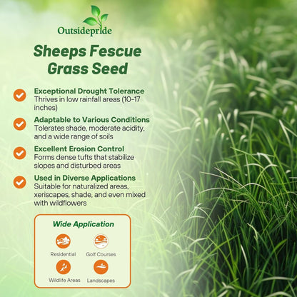 Outsidepride Sheeps Fine Fescue Grass Seed - 5 Lbs. Perennial Heat & Drought Tolerant Dense Green