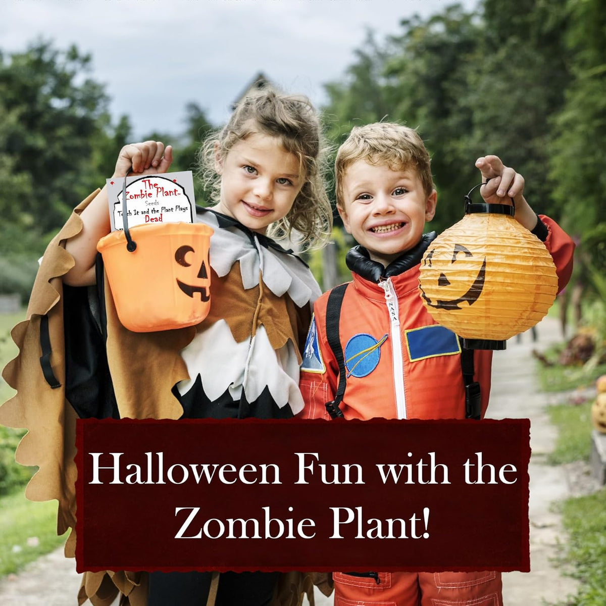 Zombie Plant Seed Packets – Grow a Live Sensitive Plant That Plays Dead When Touched! Indoor Plant