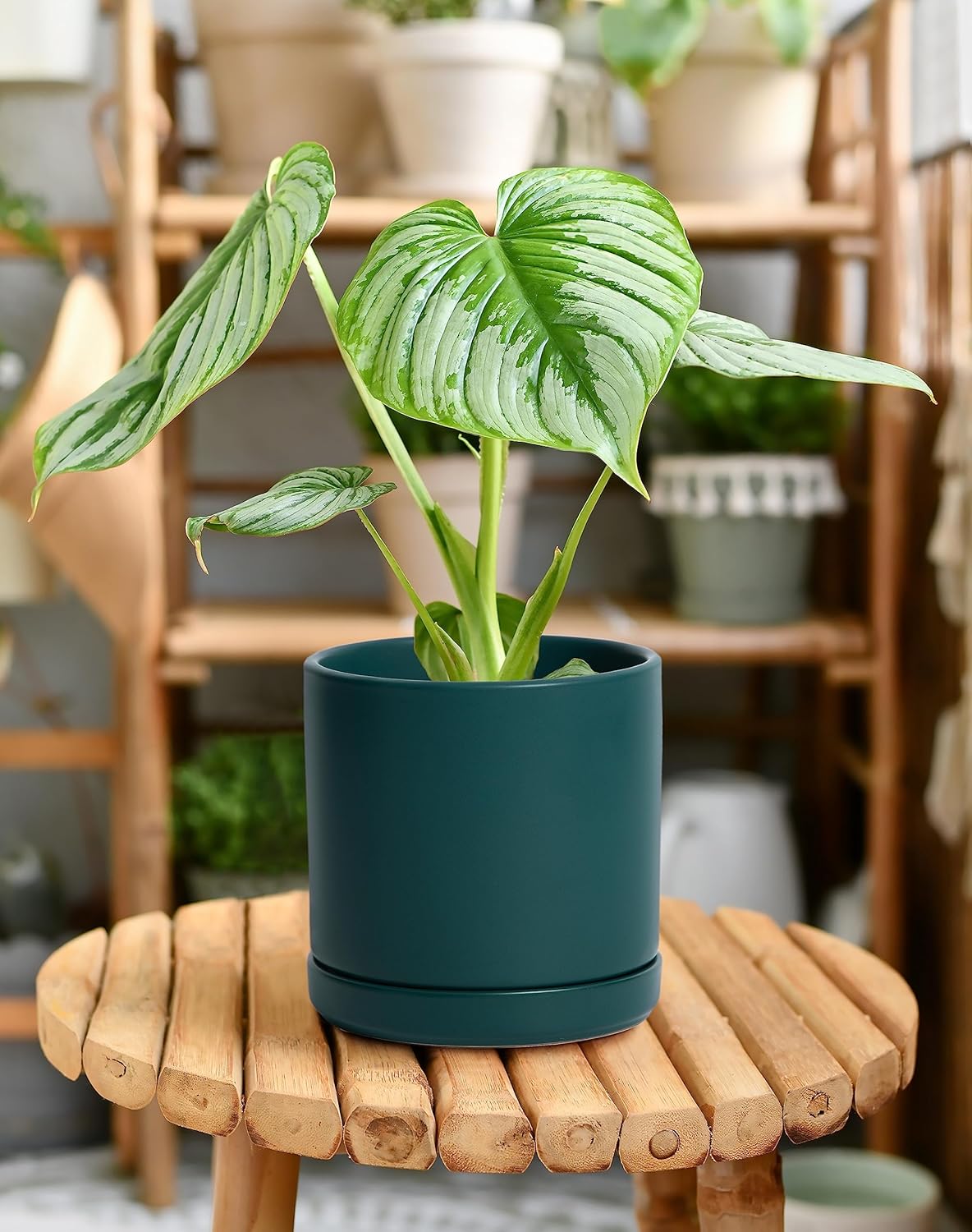 D'vine Dev Set of 2 Plants Pots, 6 Inch Ceramic Planter Pot for Plants with Drainage Hole and