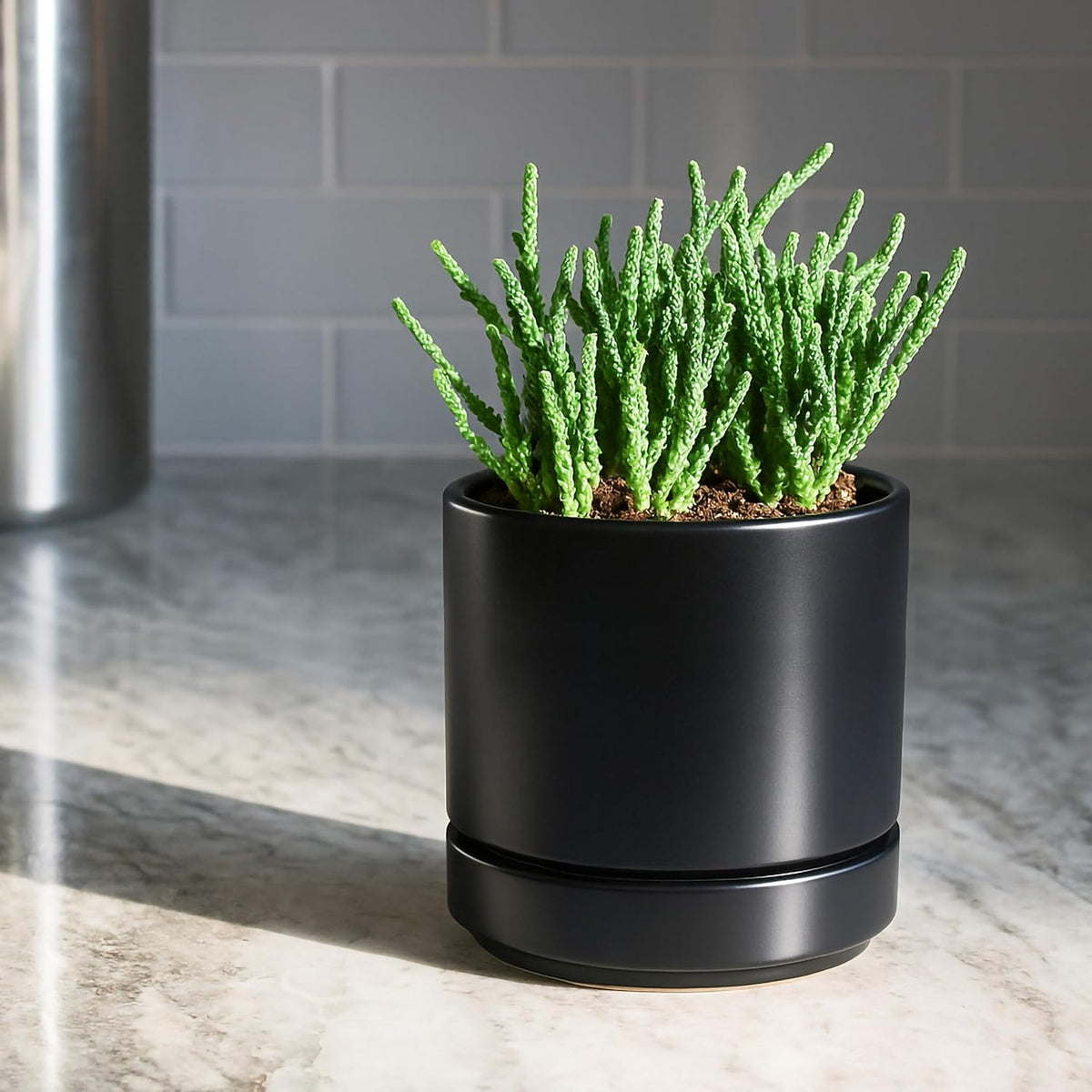 D'vine Dev Set of 4 Small Ceramic Plant Pots, 4.7 Inch Succulent Planter Pot for Plants with