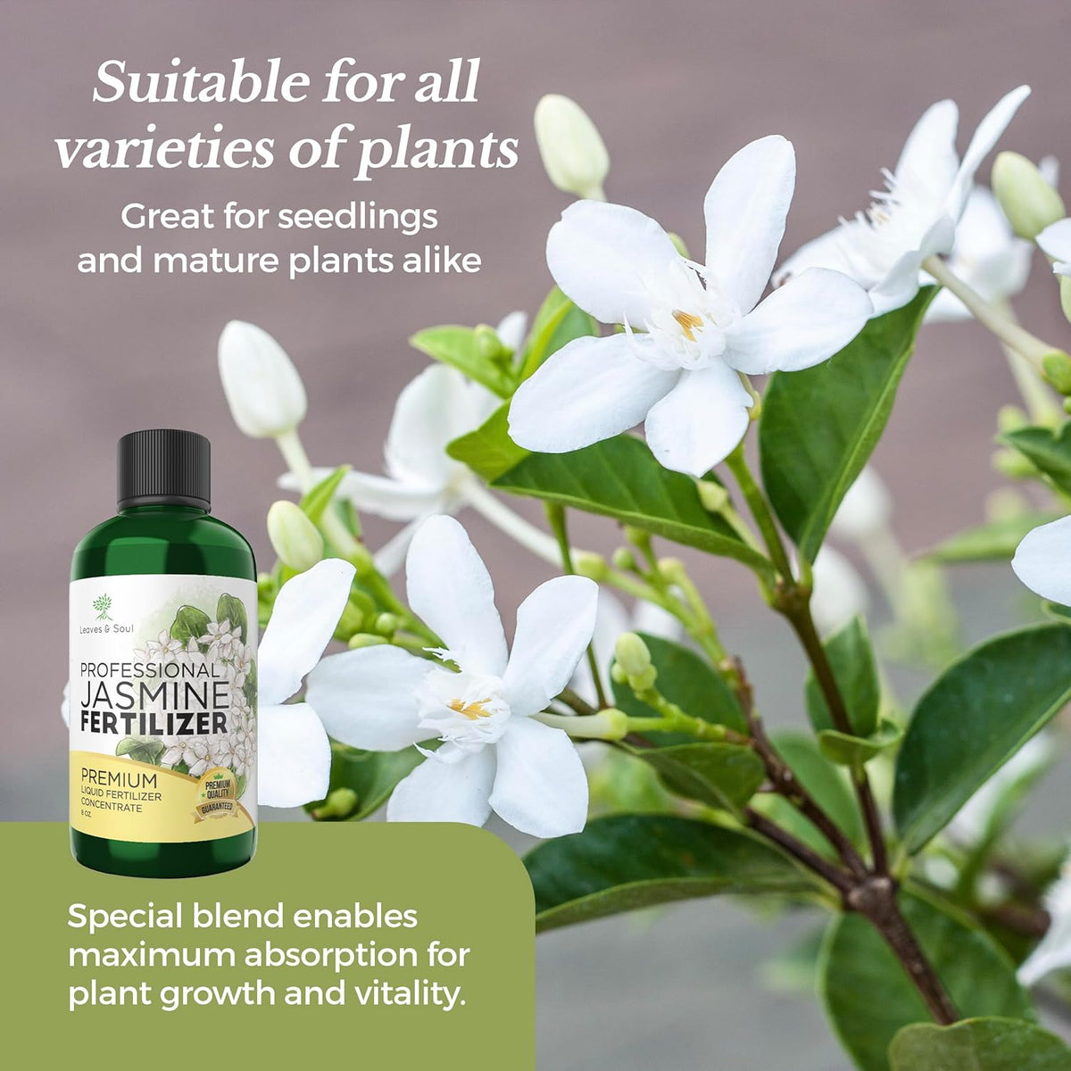 Professional Liquid Jasmine Fertilizer | 3-1-2 Concentrate for Plants and Flowers | Multi-Purpose