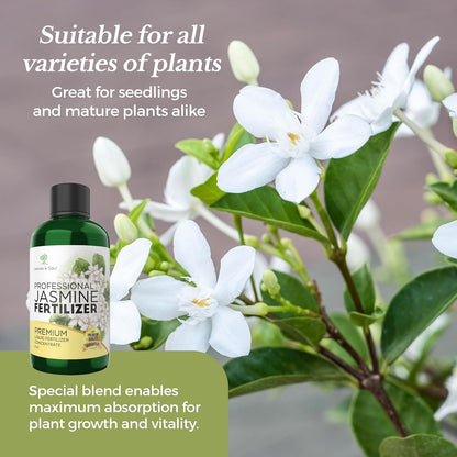 Professional Liquid Jasmine Fertilizer | 3-1-2 Concentrate for Plants and Flowers | Multi-Purpose