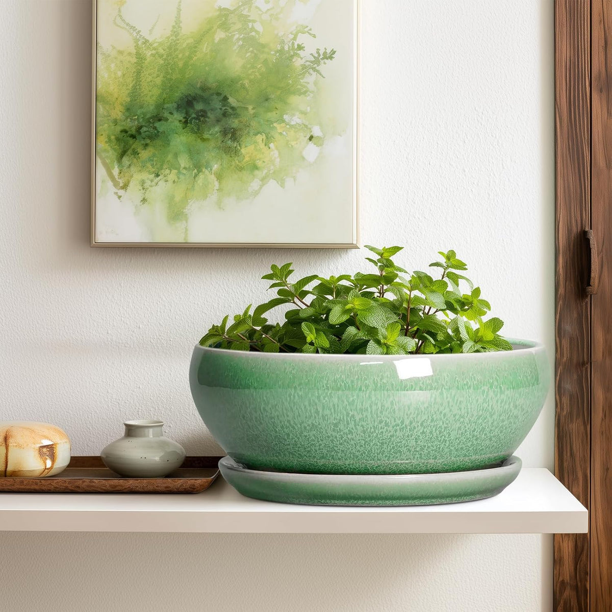 SQOWL Succulent Planter 12 Inch - Ceramic Bonsai Pots with Drainage Hole and Saucer, Large Shallow