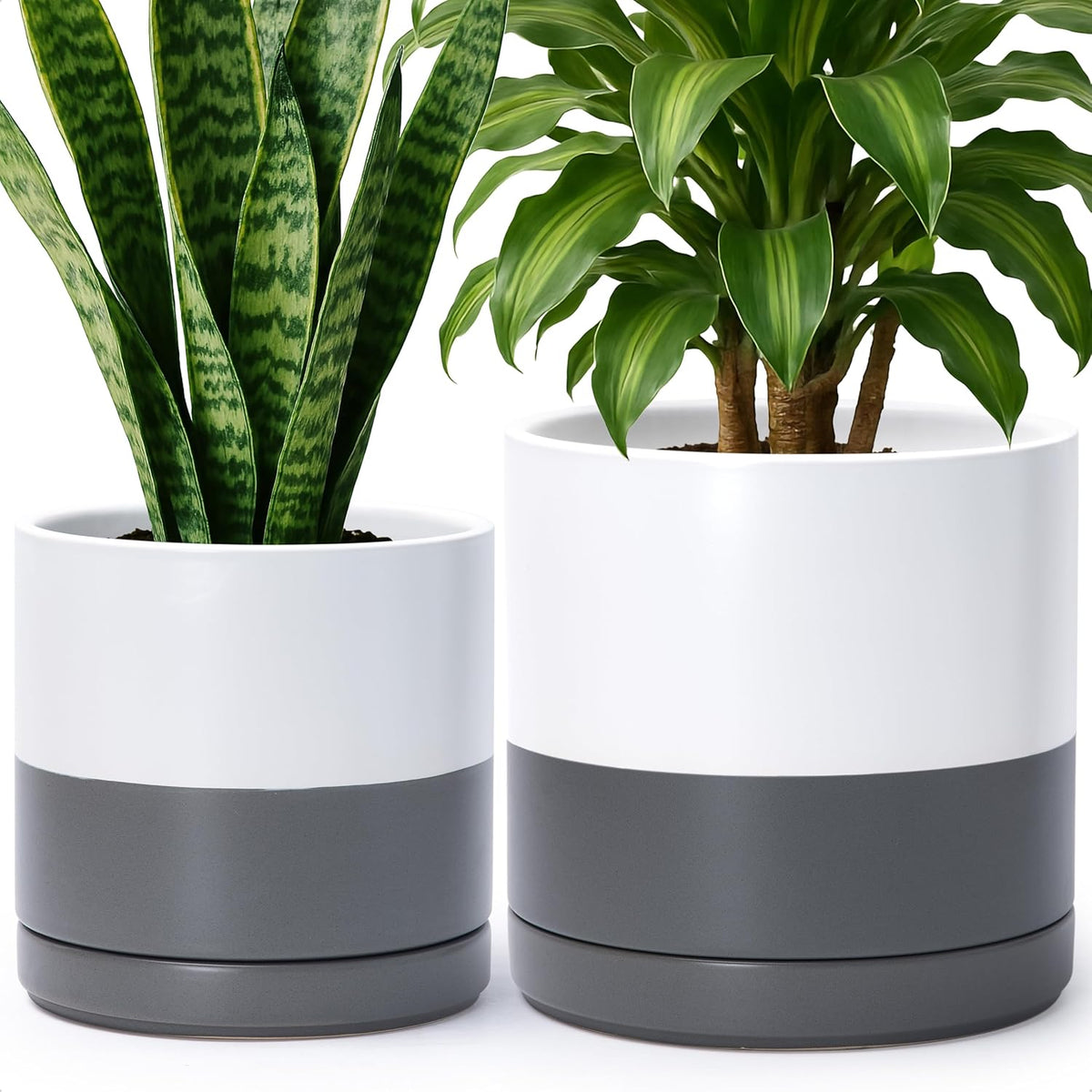 D'vine Dev 8.2 Inch & 10 Inch Ceramic Planter Pot for Plants with Drainage Hole and Saucer, Large