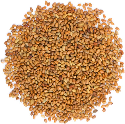 Food to Live - Organic Alfalfa Seeds for Sprouting, 20 Pounds - Non-GMO, Edible Seeds, Pure, Vegan