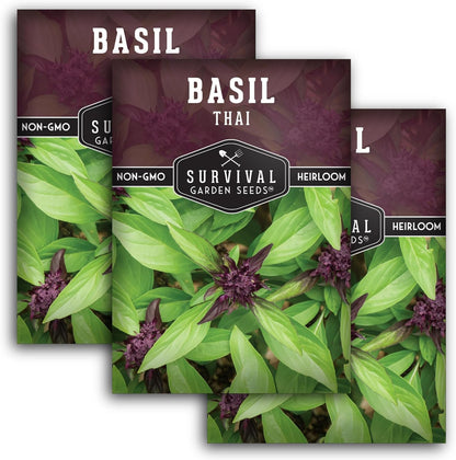 Survival Garden Seeds - Thai Basil Seed for Planting - 3 Packets with Instructions to Plant and
