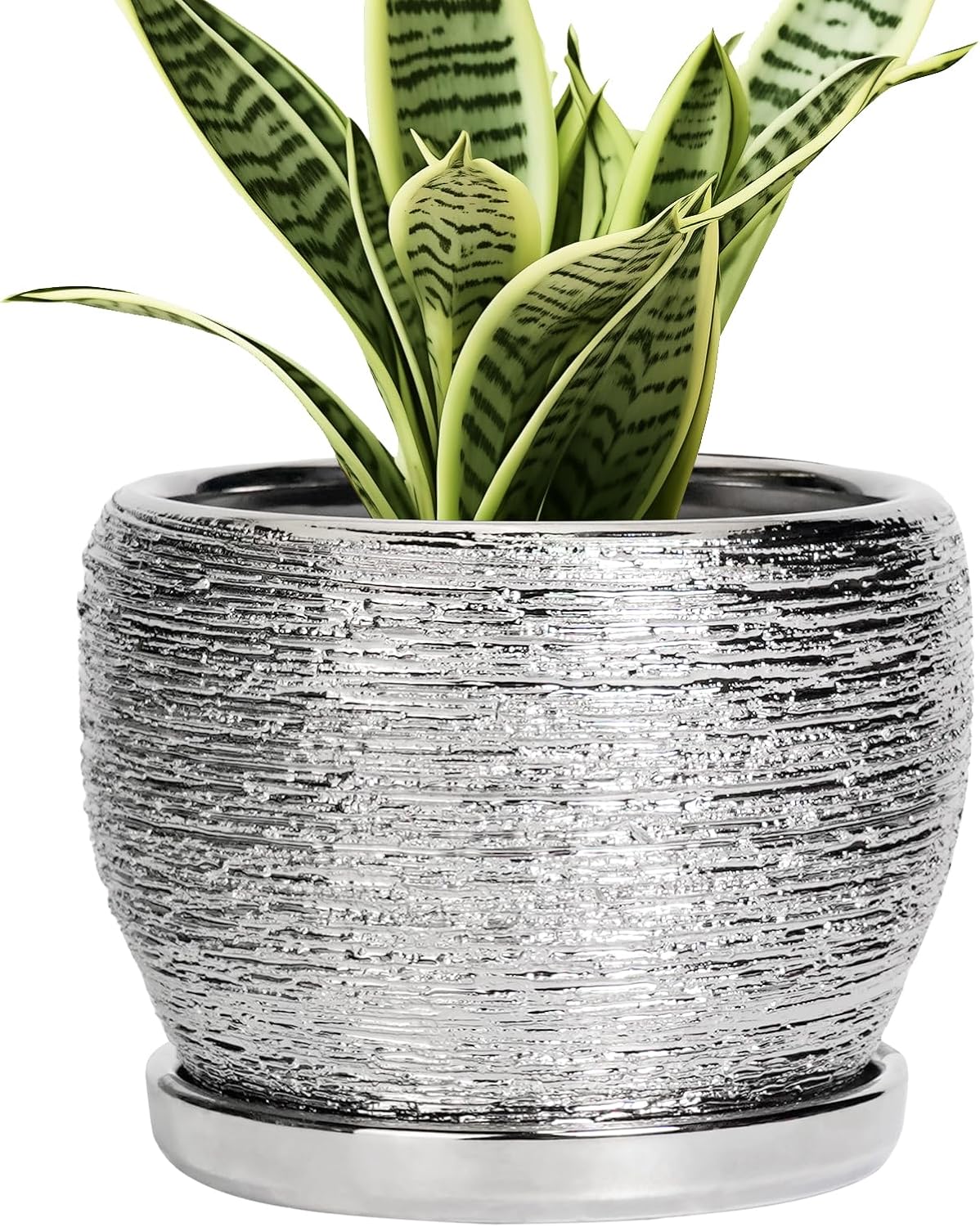 SQOWL Ceramic Plant Pots - 6 Inch Planter for Indoor Outdoor Plants, Modern Round Flower Pots with