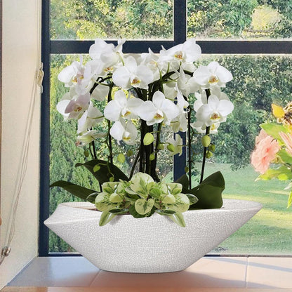 Bonsai Pots - 18 Inch Ceramic Plant Pot for Bonsai Tree, Modern Indoor & Outdoor Succulent Planter