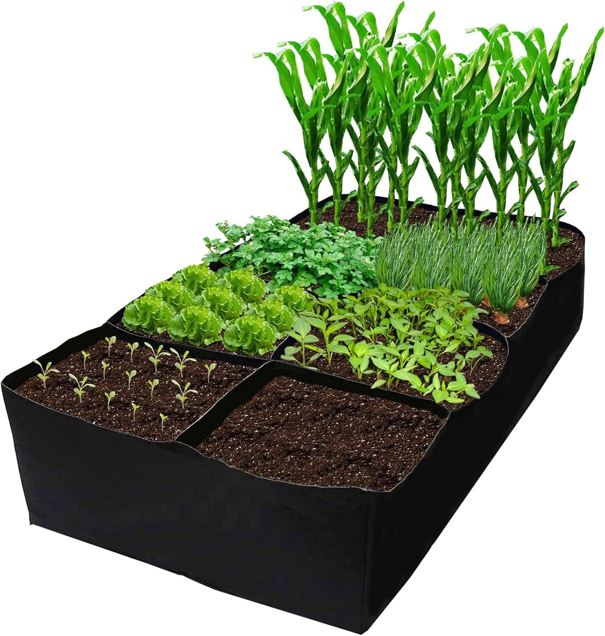 CJGQ Fabric Raised Garden Bed 6x3x1ft Garden Grow Bed Bags for Growing Herbs, Flowers and
