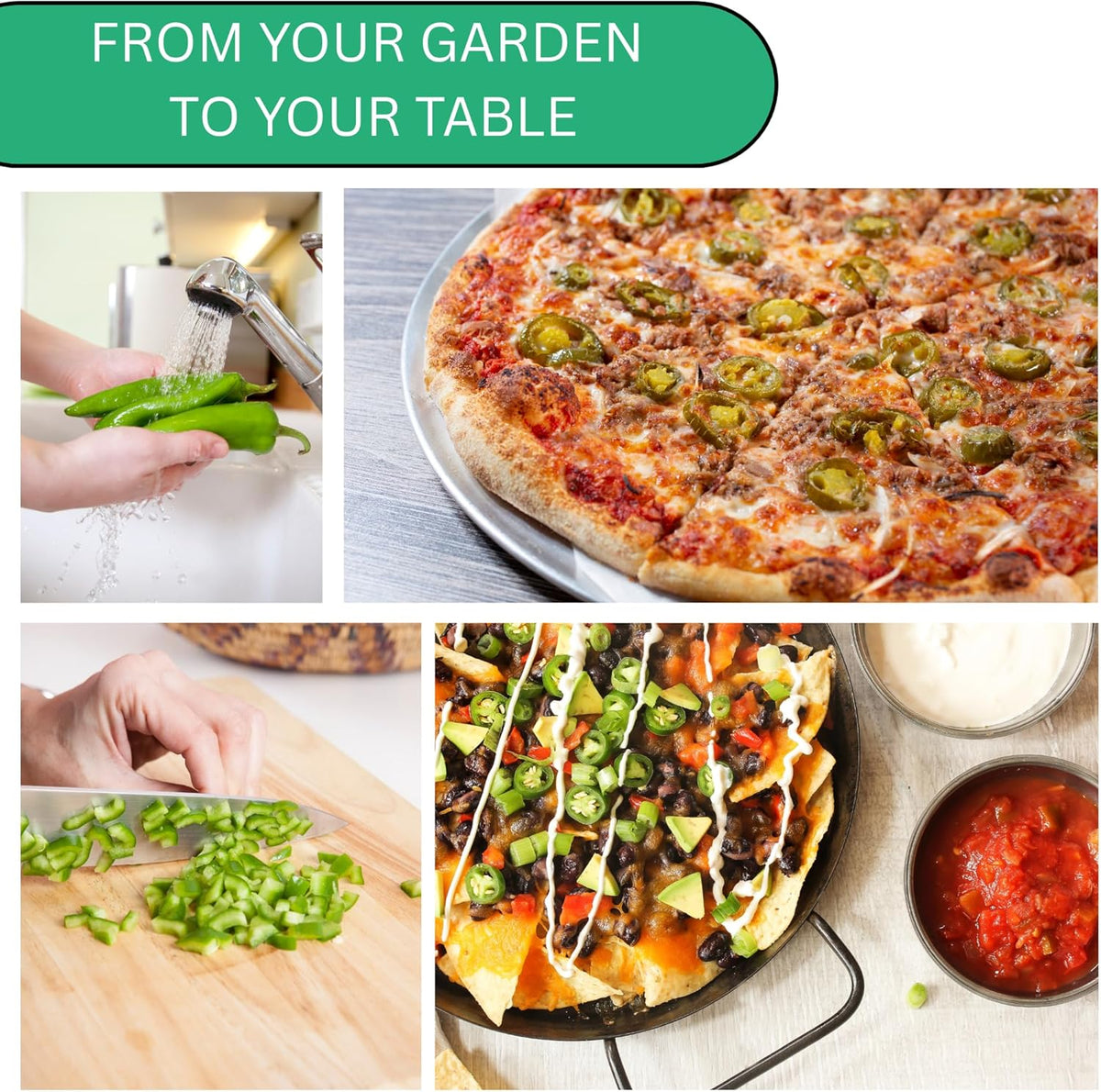Woods Creek Seeds: Jalapeño TAM Hot Pepper Seeds for Planting - Over 180 Heirloom Non-GMO Jalapeno