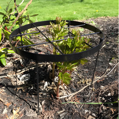 Large Peony Cages and Supports 18.9"x23.6" - Durable Round Garden Flower Rings | Tall Plant Support