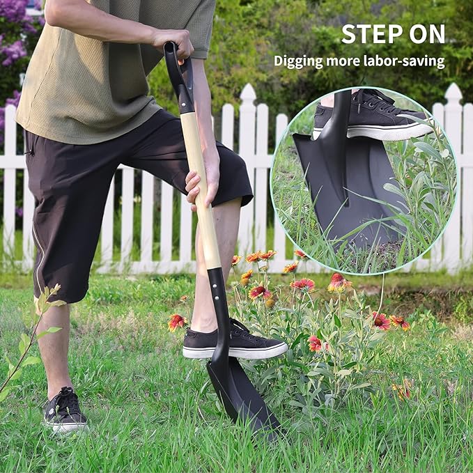 Square Shovel, Shovels for Digging with D-Handle, Overall 41-Inch Long Garden Shovel, Transfer