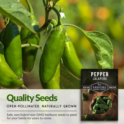 Jalapeño Pepper Seeds for Planting | Hot Heirloom Non-GMO Peppers for Pickling & Salsas – Survival