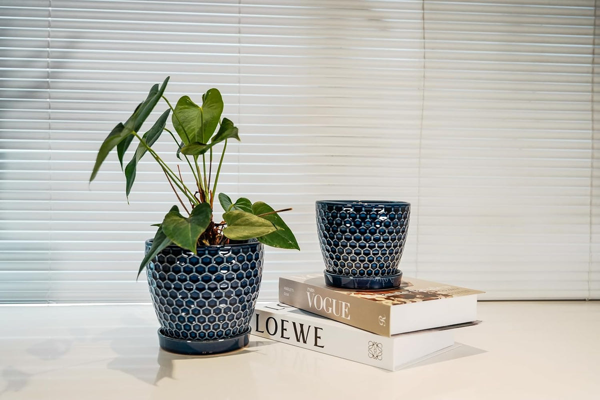 Docrin Ceramic Plant Pots Indoor, 6.6 + 5.5 Inch Planters with Drainage Holes and Saucer for