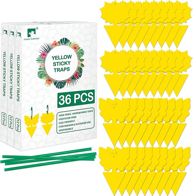 LULUCATCH Fruit Fly Sticky Trap 36 Pack, Safe Gnat Traps for Fruits, Plants, Super Sticky Fly Trap