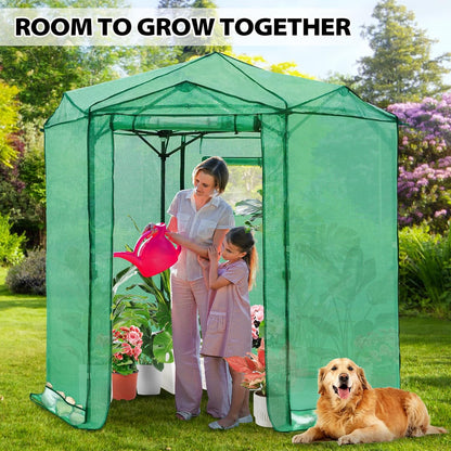 EAGLE PEAK 6.6x6.6 ft Hexagon Pop up Greenhouse, Portable Walk-in Grow Tent for Seed Starting