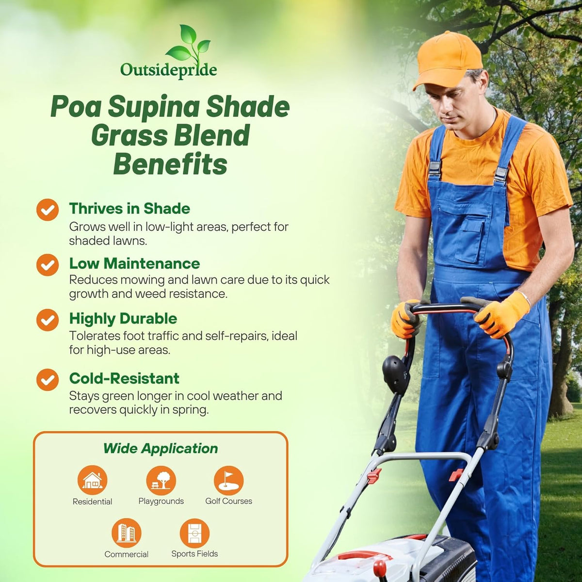 Outsidepride 1 Lb Supranova Shade Grass Mix of POA Supina & Rough Bluegrass - Shade Tolerant Grass