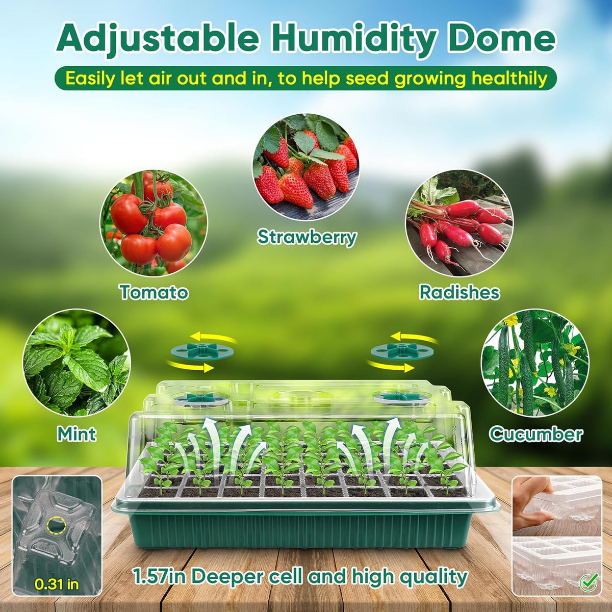 BlumWay Seed Starter Tray with Grow Light,3 Pack 120 Cells Seedling Tray with Humidity Dome/Indoor