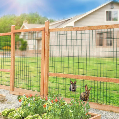 Green PVC Coated Welded Wire Fence 48 Inch x 50 Foot, 2 Inch x 4 Inch 14GA, Garden Border Fencing