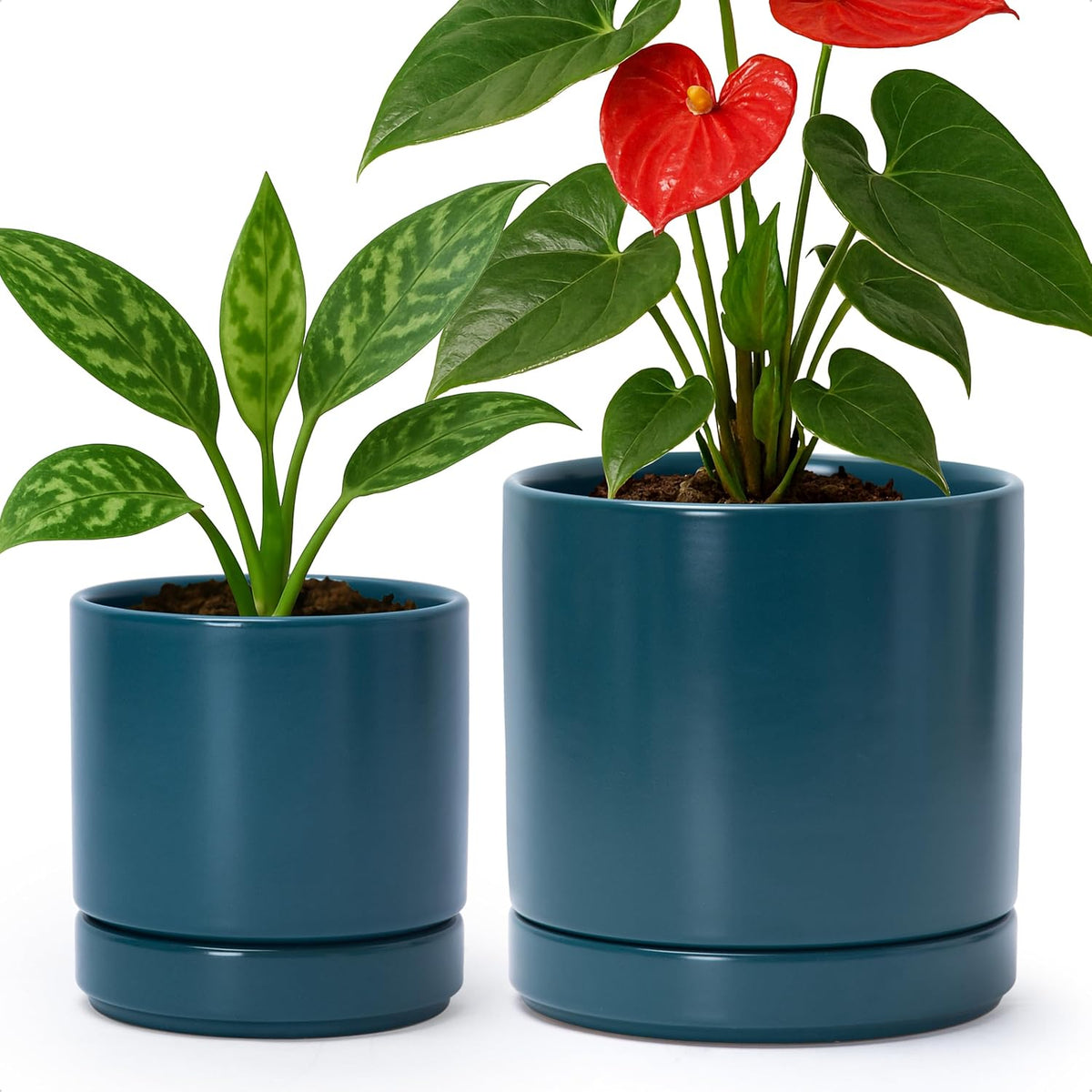 D'vine Dev 4.7 Inch & 6.5 Inch Ceramic Planter Pots for Plants with Drainage Hole and Saucer, Small