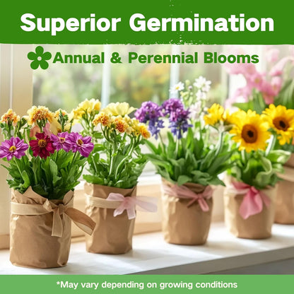 LUSH&DEW Cut Flower Seed Bank, Gift for Women Men, 32 Types Non-GMO Annual & Perennial Wildflower
