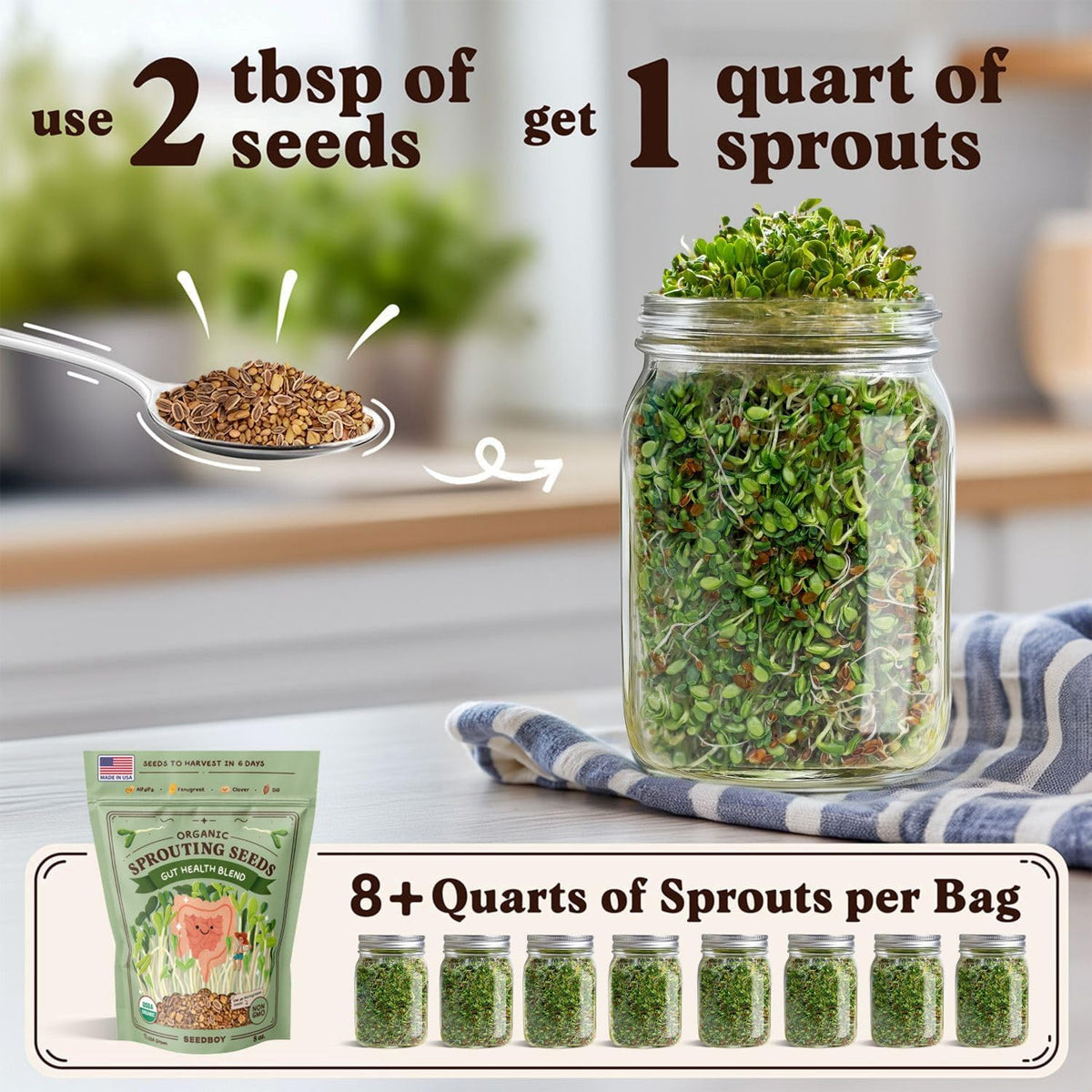 Seedboy Organic Non-GMO Sprouting Seeds, Gut Health Blend – USA Grown Microgreens Mix with Clover