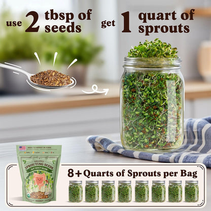 Seedboy Organic Non-GMO Sprouting Seeds, Gut Health Blend – USA Grown Microgreens Mix with Clover