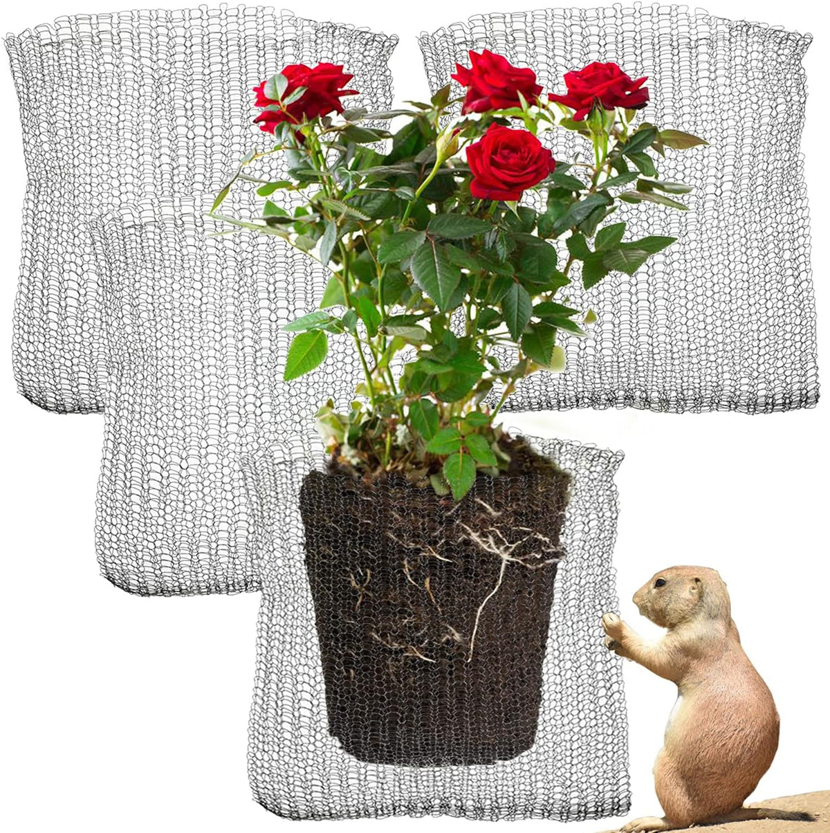 GIFTEXPRESS 4pc 5 Gallon Gopher and Vole Wire Baskets, Gopher Wire Mesh Plant Root Protector Gopher