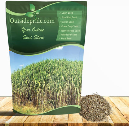 Outsidepride Switchgrass Seed - 25 lbs. Perennial Hardy, Drought & Flood Tolerant Native Grass Seed