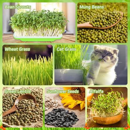 Legigo 16 Pack Green Seed Sprouter Trays- Soil-Free Cultivation Germination Tray, BPA Free Nursery