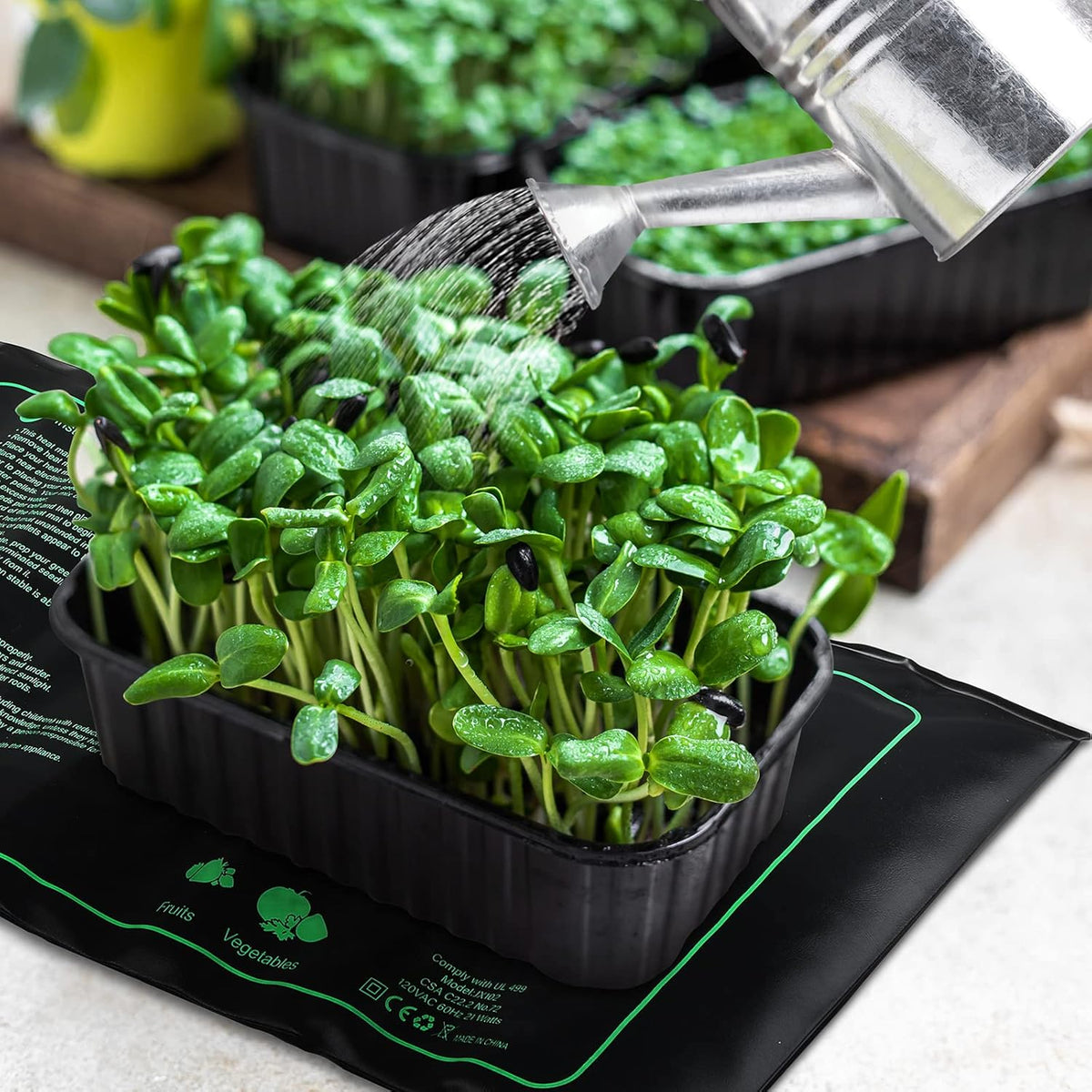 4 Pack Seedling Heat Mat Heating Mat for Seedlings Grow Mats Waterproof Hydroponic Heating Pad Heat