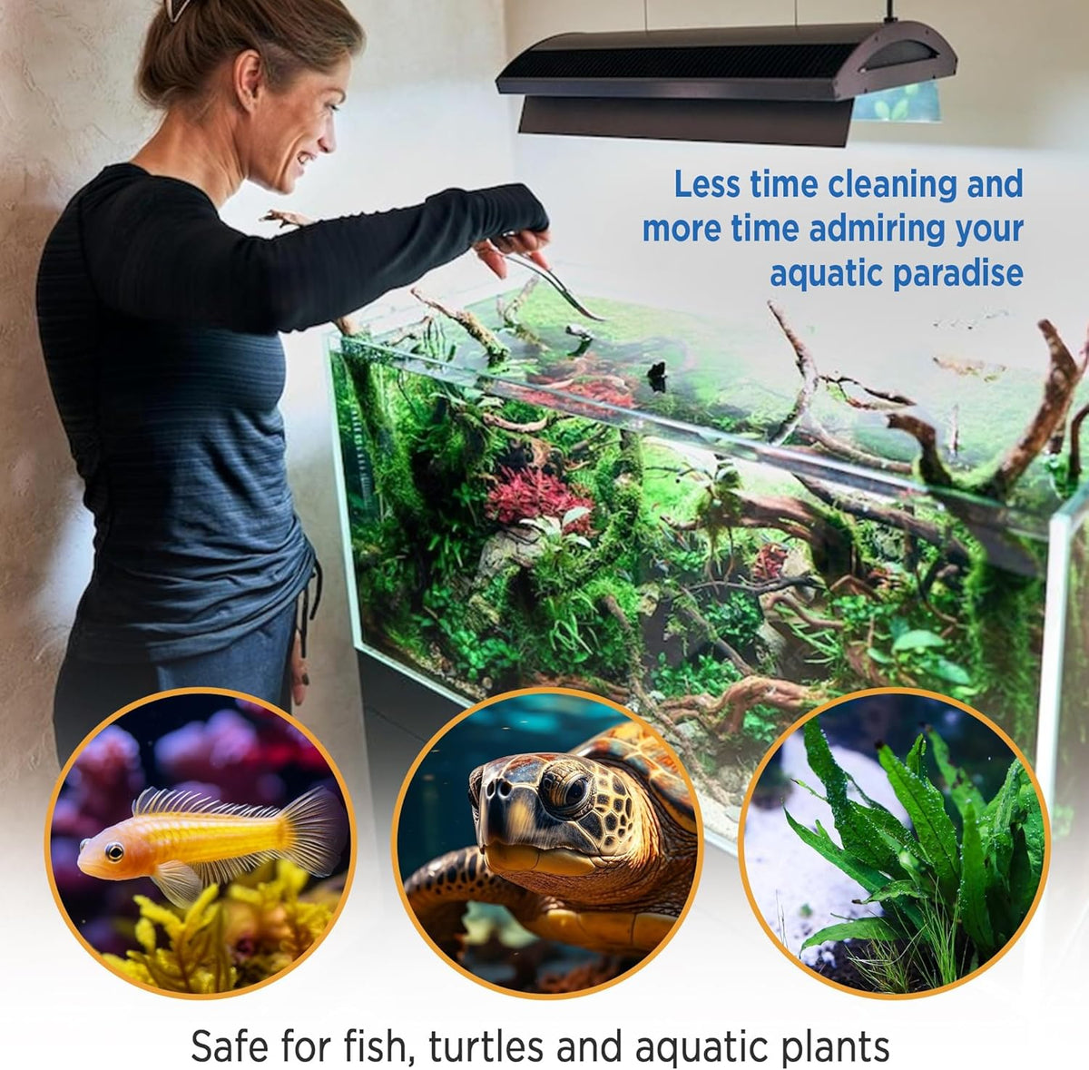 Fish Tank Rocks for Enhancing Water Clarity with Your Regular Cleaning Routine, Fish Friendly