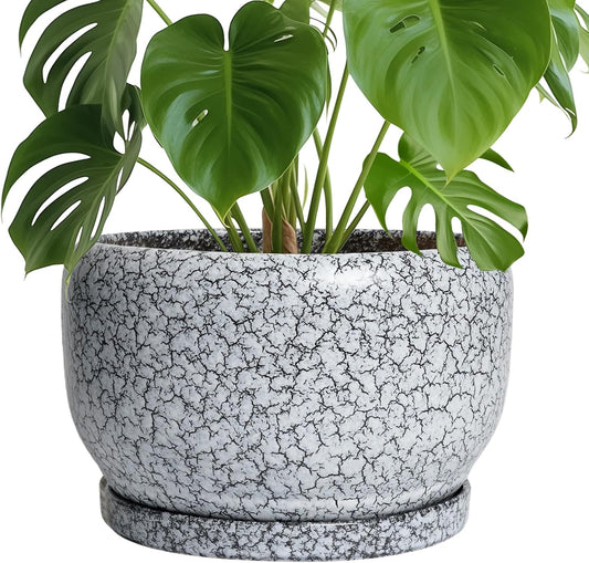 SQOWL Ceramic Planters - 10 Inch Ceramic Flower Pot with Drainage Hole and Saucer, Decorative Plant