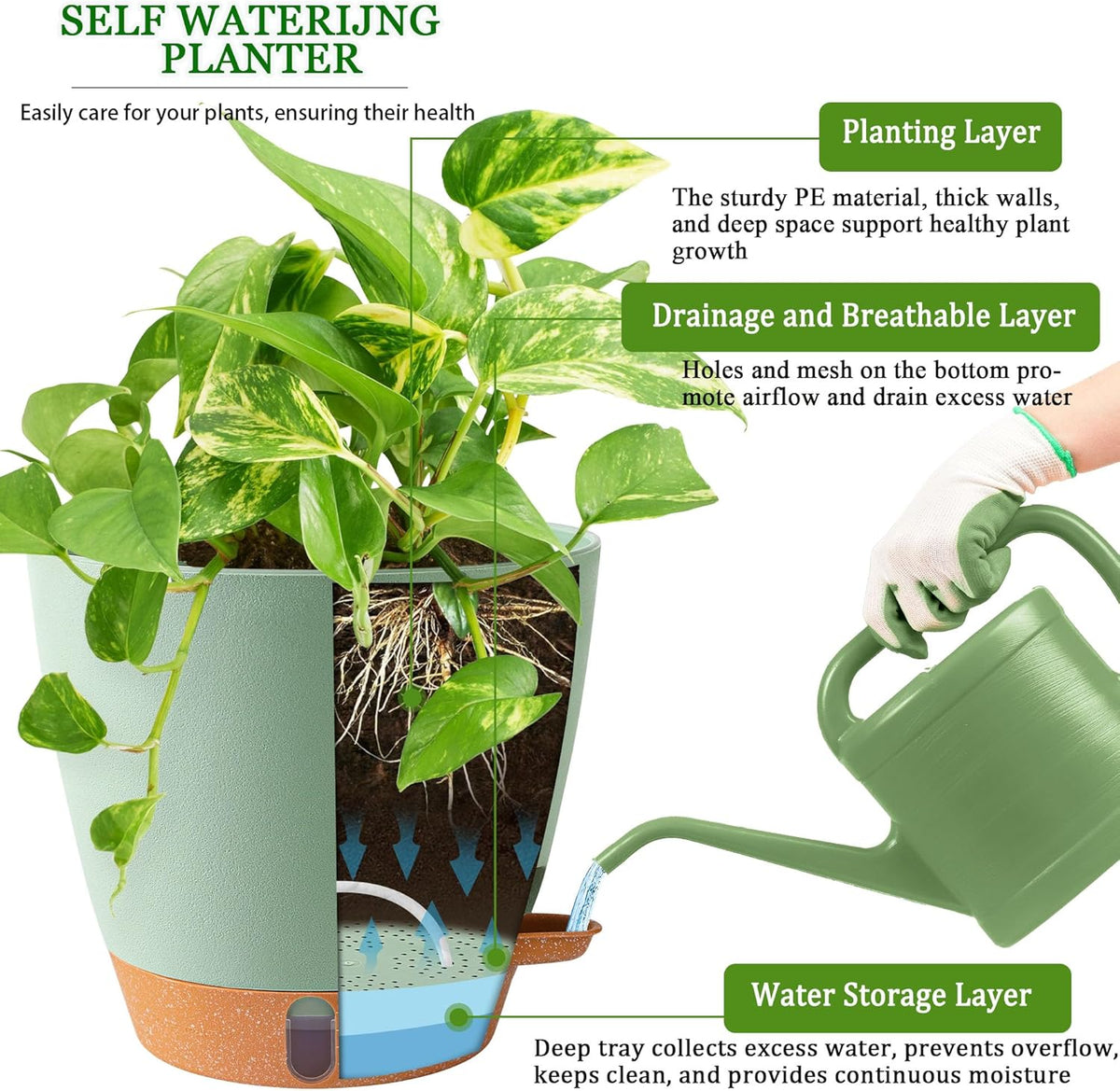 2 Pack 8 Inch Pots for Plants Indoor, Plastic Self Watering Planters with Drainage Holes, Water