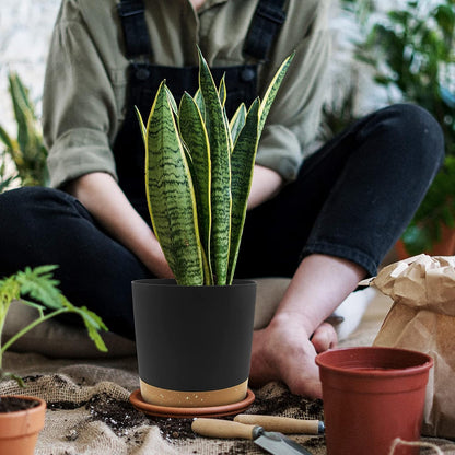 QCQHDU 8 inch Plant Pot, 2 Pack Planters for Indoor Plants with Drainage Holes & Saucer, Outdoor