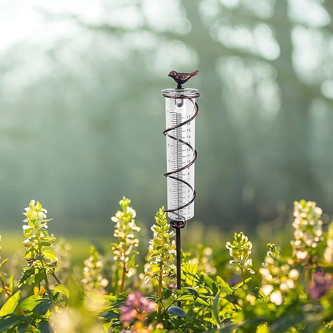 JOYBee 7inch Capacity Glass Spiral Rain Gauge,Cast Iron Bird Hanging Rain Gauge,Garden Rain Water