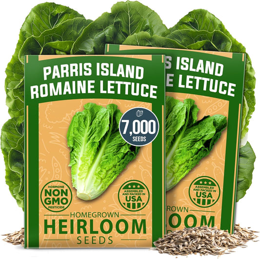 HOME GROWN Romaine Lettuce Seeds, Paris Island Bulk Pack, 7000+ Lettuce Seeds for Planting, High