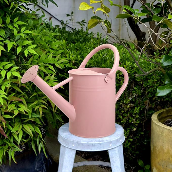Metal Watering Can with Removable Spout, Galvanized Watering Can, Perfect for Indoor Use and for