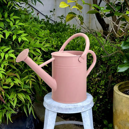 Metal Watering Can with Removable Spout, Galvanized Watering Can, Perfect for Indoor Use and for