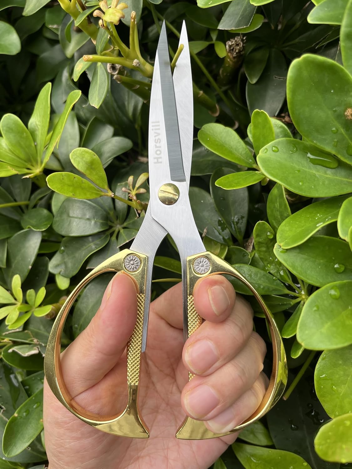 Indoor Plant Shears and Garden Scissors, Houseplant Shears Made of Japan SK5 Stainless Steel