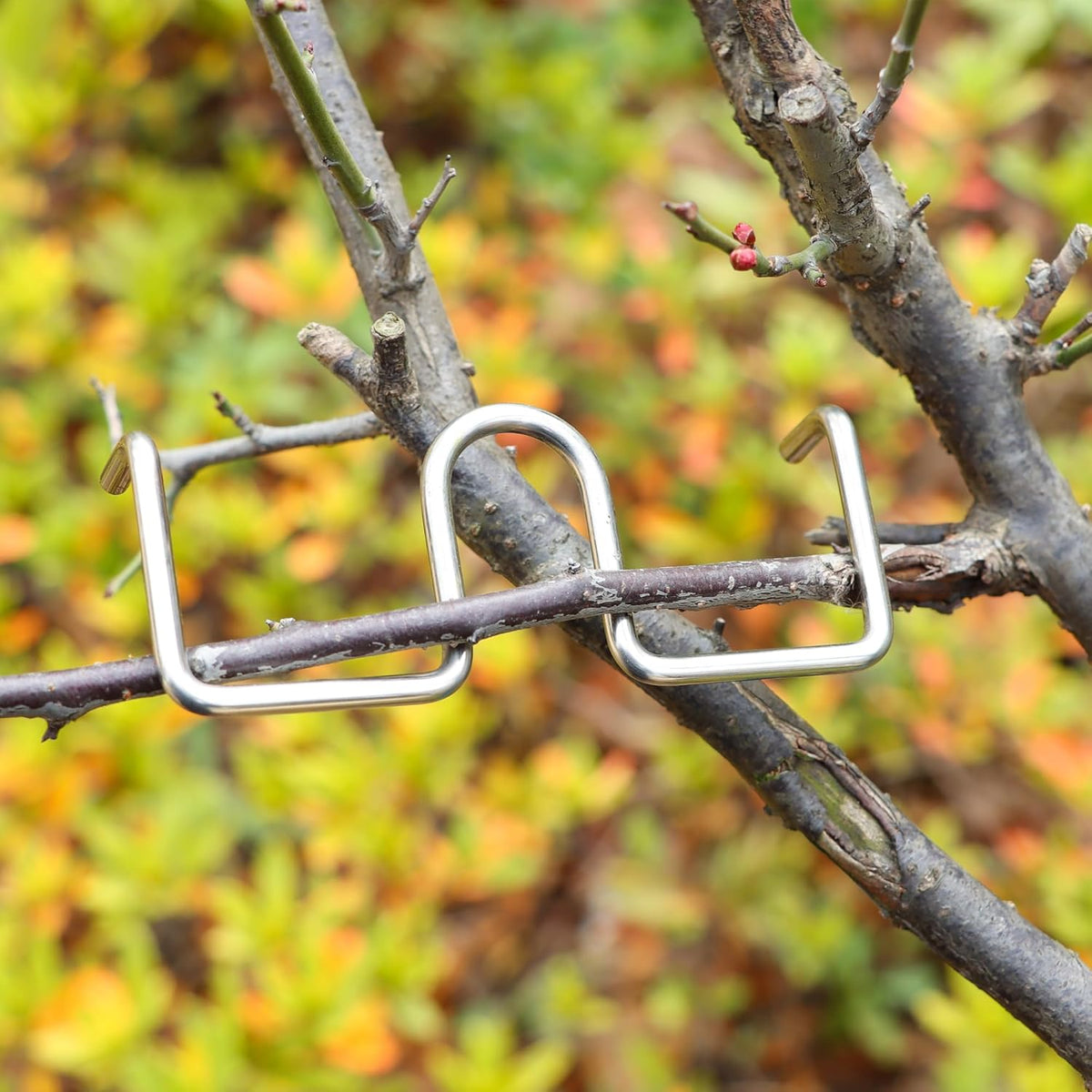 12PCS Fruit Tree Branch Puller Tying Machine Farm Tools New Plum Tree Open Angle Pull Branch