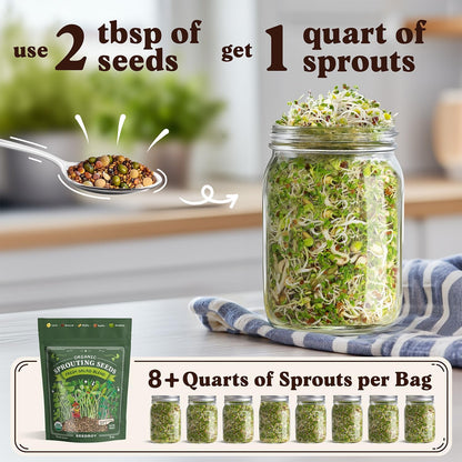Seedboy Organic Non-GMO Sprouting Seeds, Fresh Salad Blend – USA Grown Microgreens Mix with