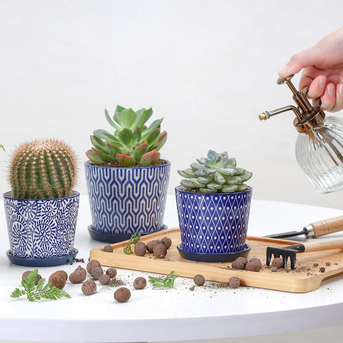 Selamica Ceramic Succulent Pots, 3.4 Inch Small Pots for Plants with Drainage Holes and Saucers