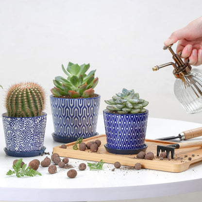 Selamica Ceramic Succulent Pots, 3.4 Inch Small Pots for Plants with Drainage Holes and Saucers