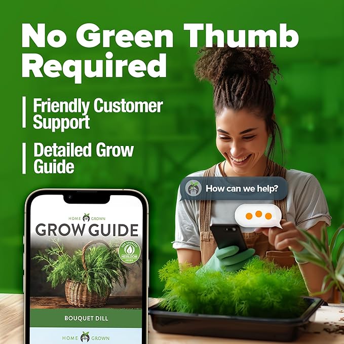 HOME GROWN 𝗨𝗦𝗔 𝗣𝗥𝗘𝗠𝗜𝗨𝗠 Dill Seeds for Planting 1,014 Bouquet Dill Seeds 𝗡𝗢𝗡-𝗚𝗠𝗢 and