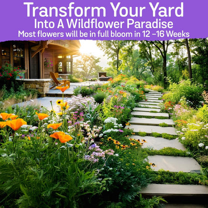NatureZ Edge Wildflower Seeds Mix – 1/4 lb, 170,000 Seeds, 35 Variety Perennial & Annual Flower