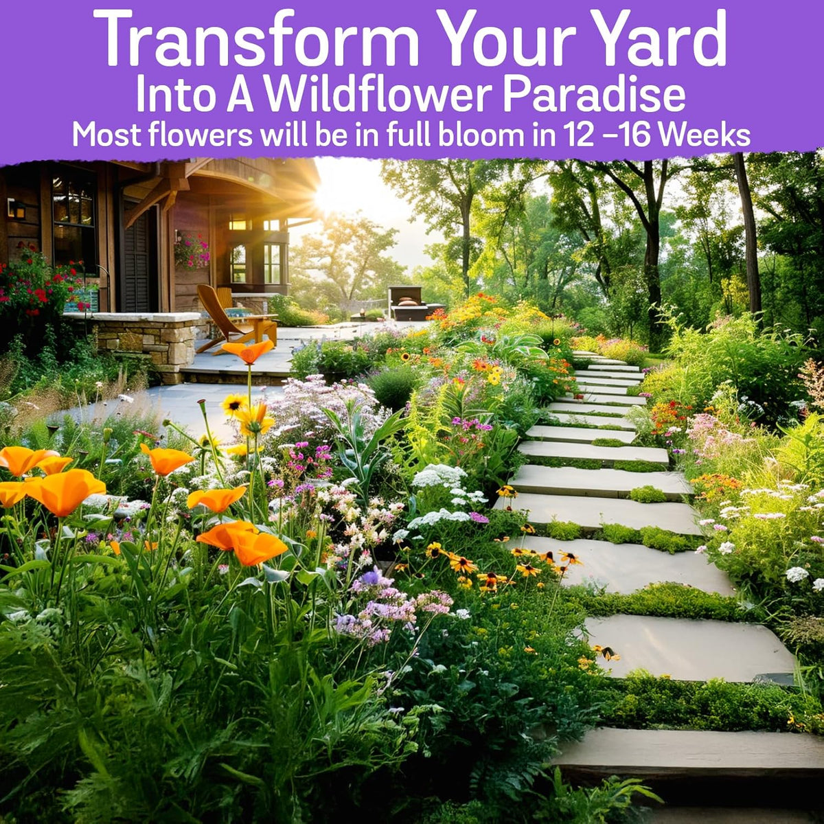 NatureZ Edge Wildflower Seeds, 1/2 lb, 340,000 Seed, 35 Variety Perennial & Annual Flower Seeds to