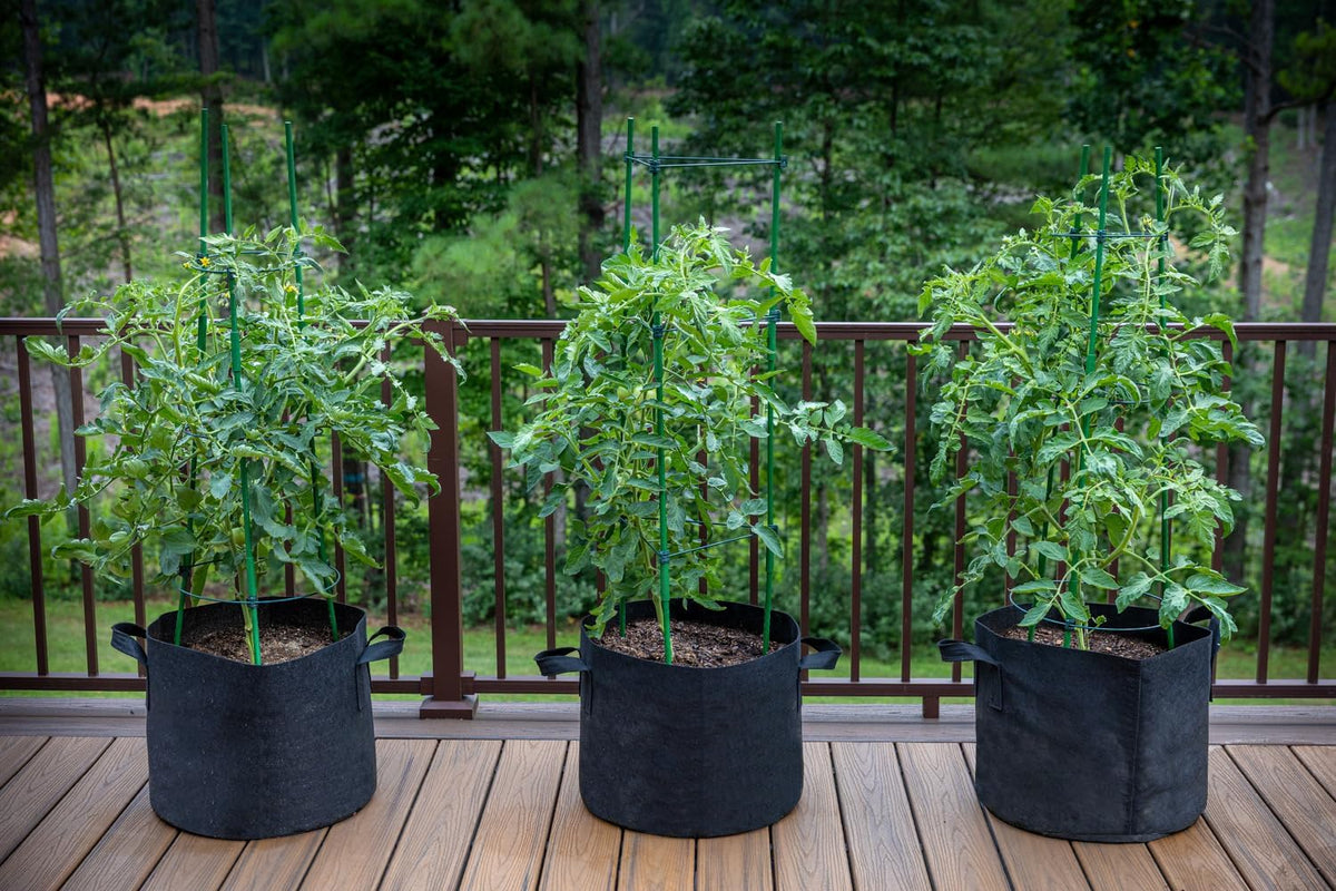 Gardzen 20-Pack 3 Gallon Grow Bags, Aeration Fabric Pots with Handles, Pot for Plants