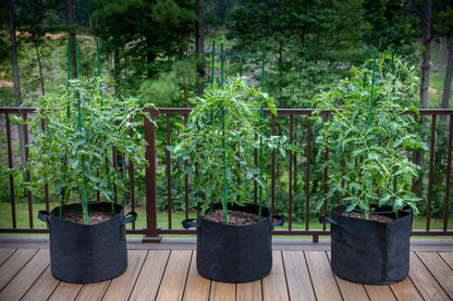 Gardzen 20-Pack 3 Gallon Grow Bags, Aeration Fabric Pots with Handles, Pot for Plants